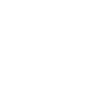 snowflake icon