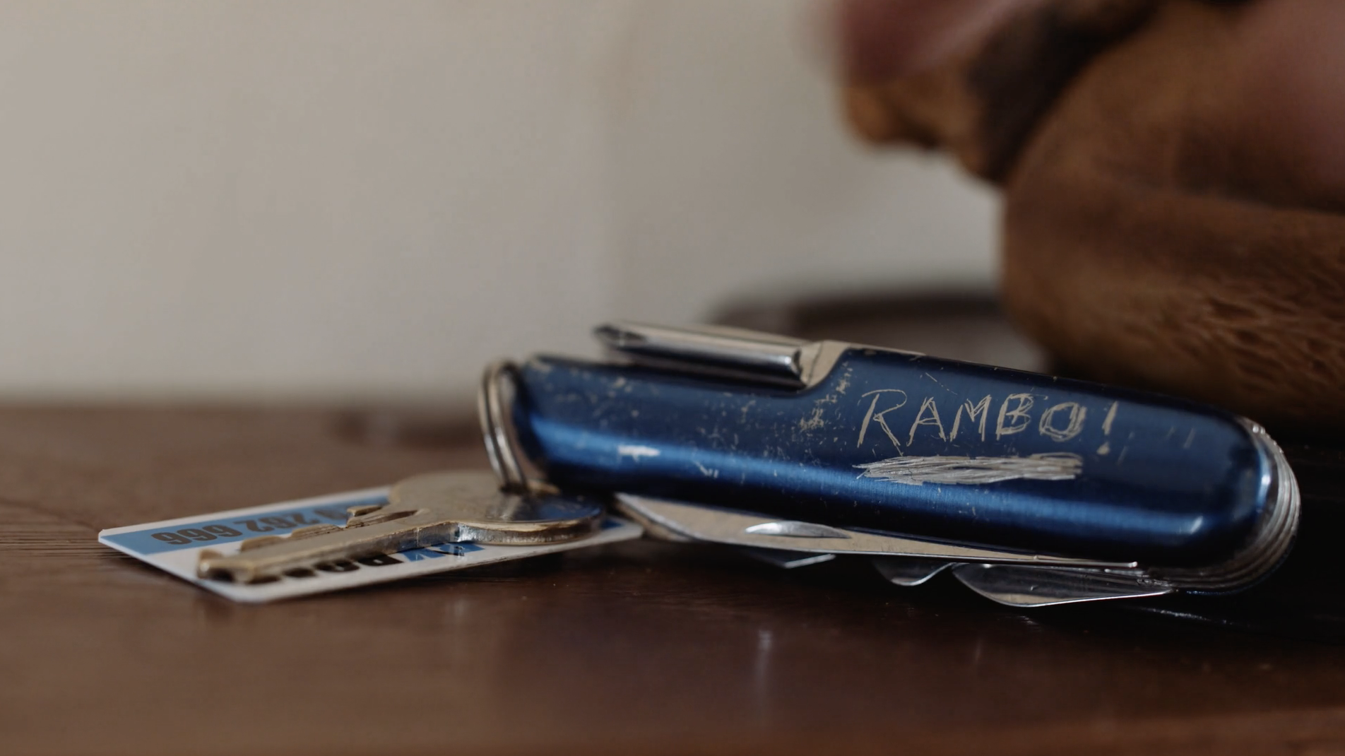 Ferreting With Rambo – Maxy Bianco