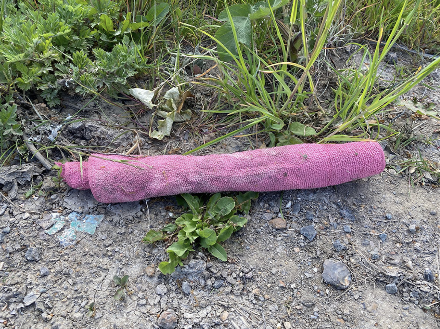 The View From Here: A Sausage In The Wild (Essex, June 2020) – Karl Hyde