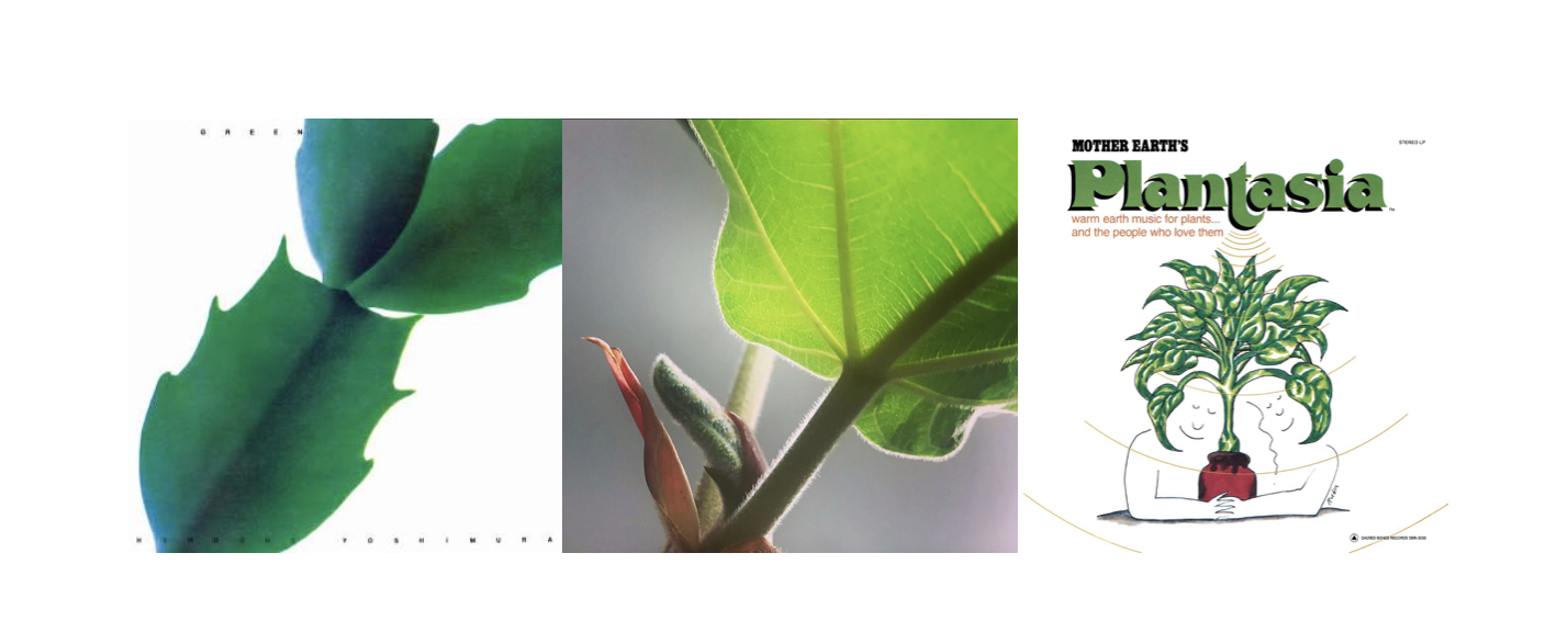 Green / ee / ee – Martha Sprackland
