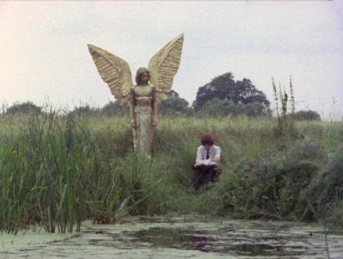 Ten Years In Electric Eden: Part 5, Conclusions – Rob Young
