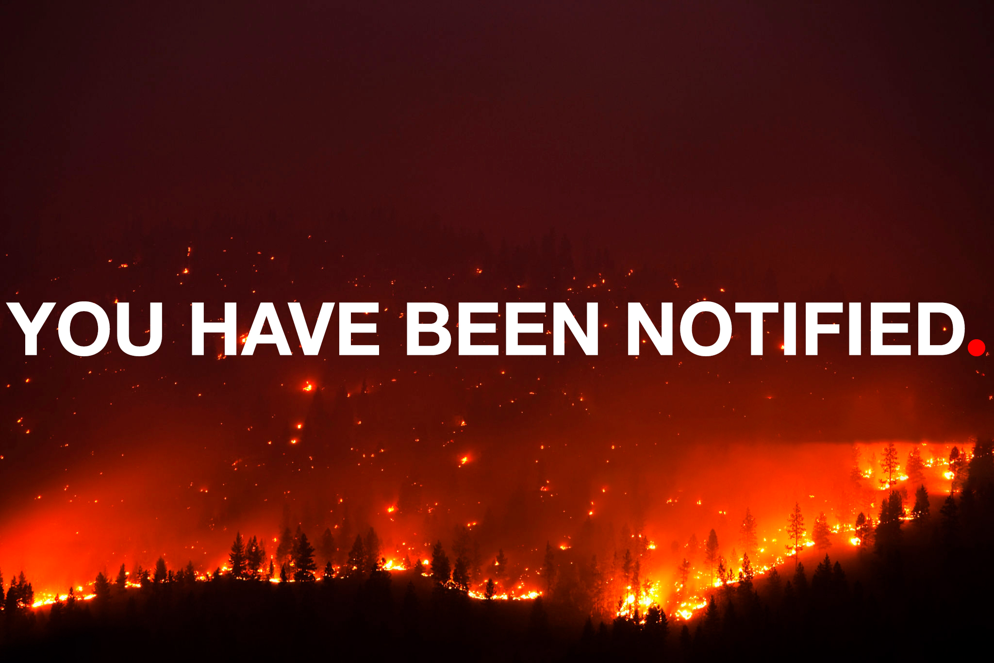 You Have Been Notified – Liam Inscoe-Jones
