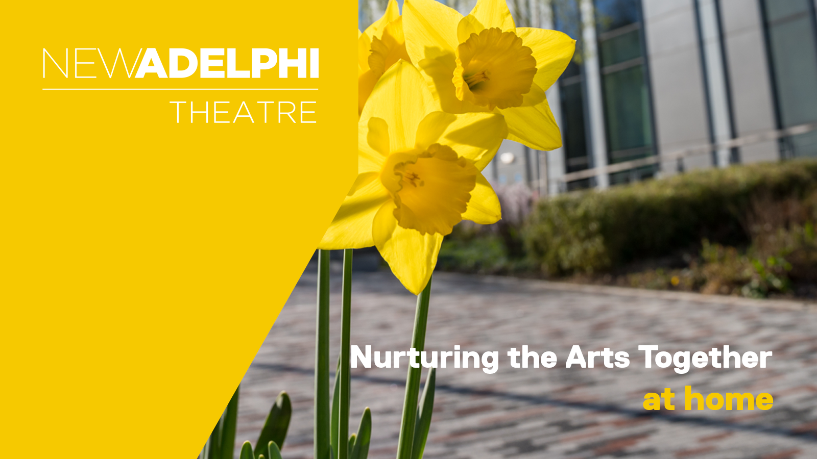 Blog: Nurturing the Arts Together at Home #3