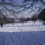 Winter Celebration