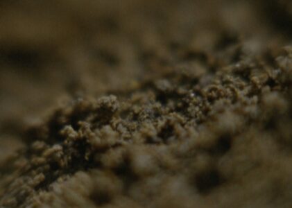 Soil Habit Plants Frame 003
