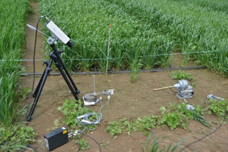 Soundingsoilspic1