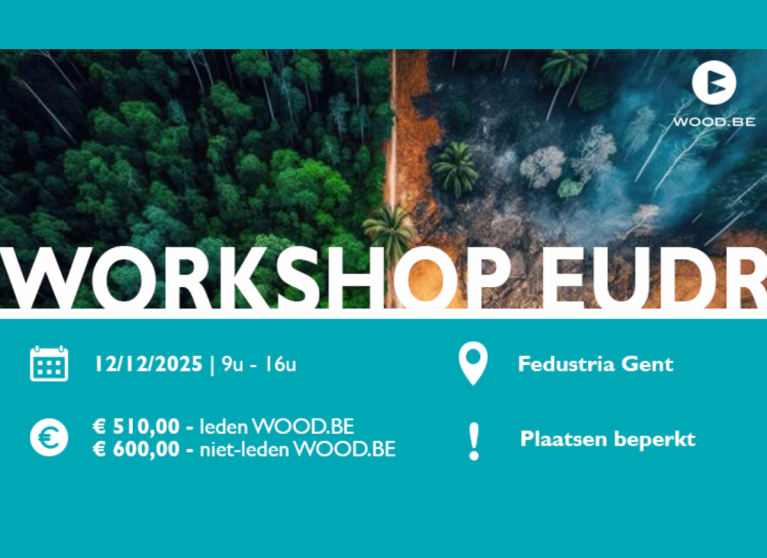Afbeelding Visual Wood be workshop EUDR 121225 copy