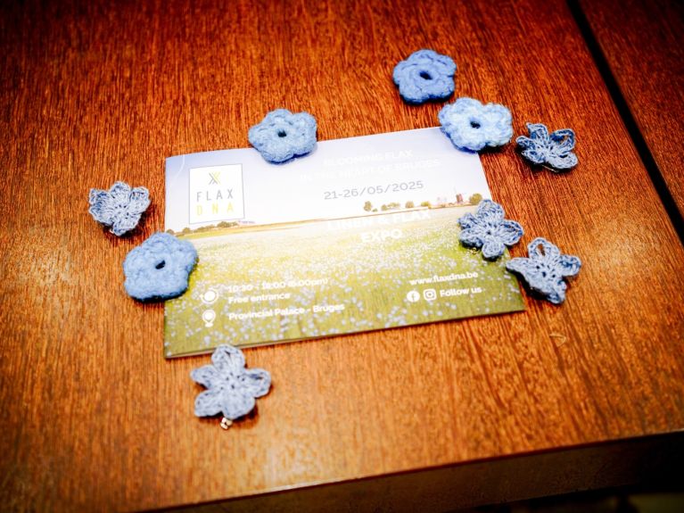 01 S4 9681 LR FILTER