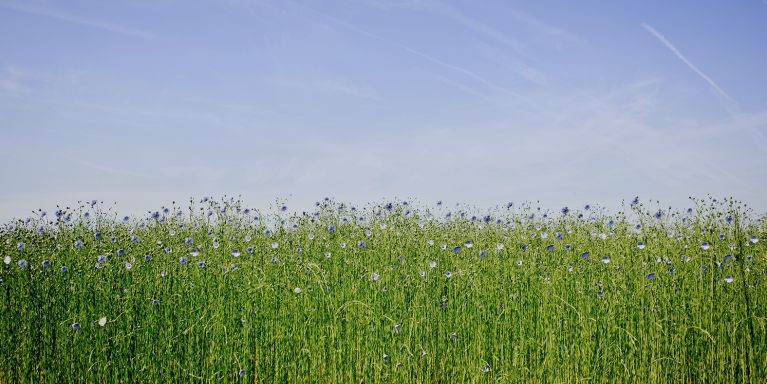 2025 GROEPSWERKING LIBECO LANDBOUW BLOEI 09 bewerkt