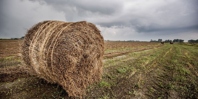 2025 GROEPSWERKING LIBECO LANDBOUW BUNDELEN 07