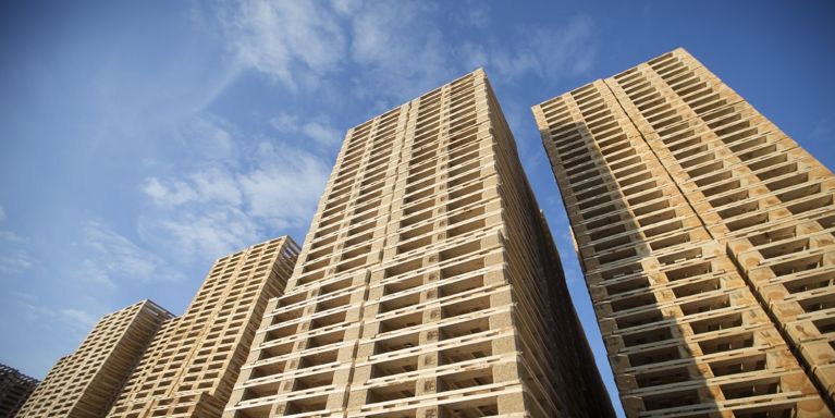 2024 06 VERPAK PGS 140109 2012 0350 01 Rodanar bedrijfsfotografie Rodanar Pallets19 copy