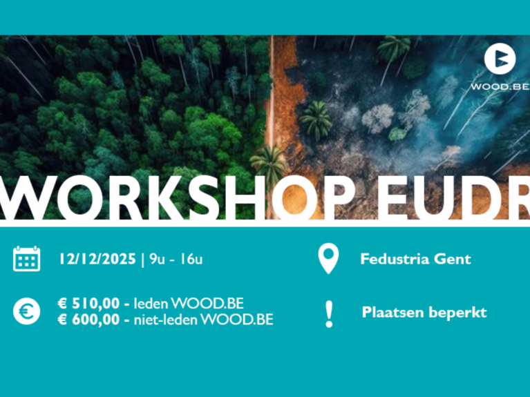 Afbeelding Visual Wood be workshop EUDR 121225 copy