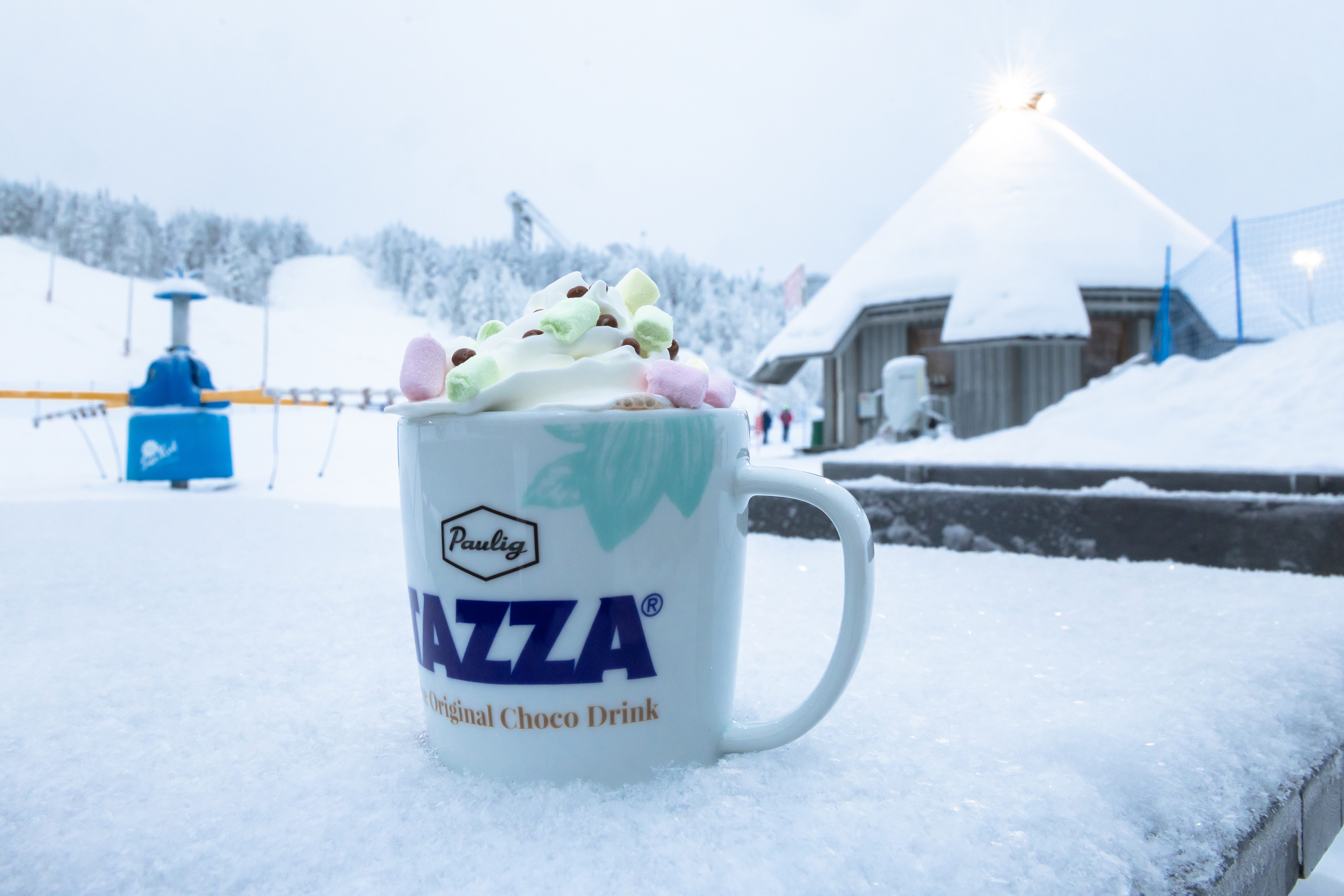 Kahvilatyöntekijä, Rinneravintola Alpenjäger, Rovaniemi