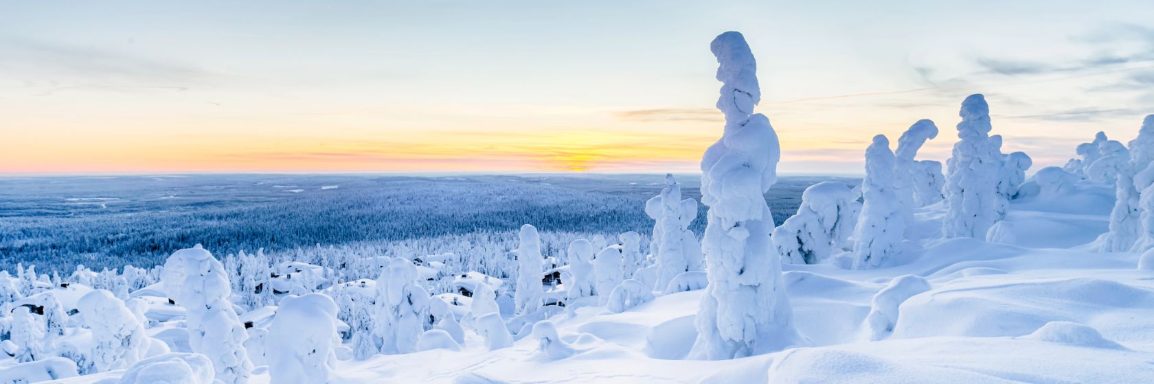 Chef, Lapland Hotels Olos, Muonio