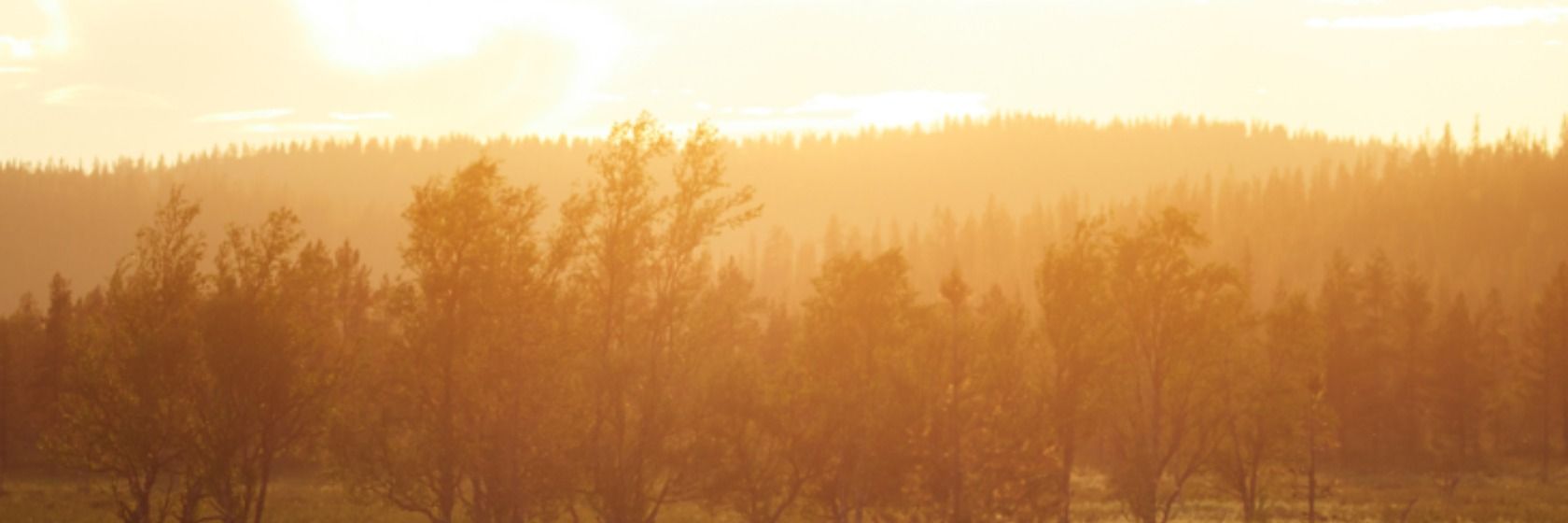 Hotellinjohtaja, Lapland Hotels Olos ja Lapland Hotels Pallas 