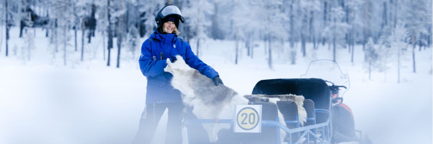 Open Application for Lapland Safaris - Lapland Staff