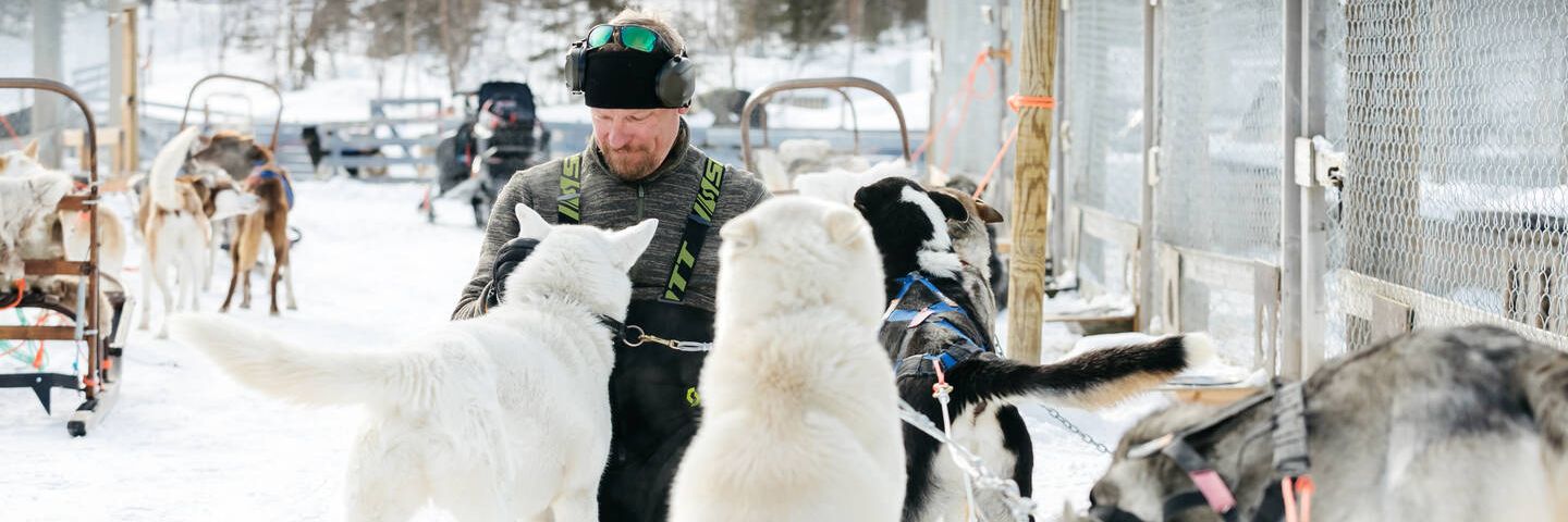 Rekikoiraopas, Lapland Husky Safaris Levi-Ylläs