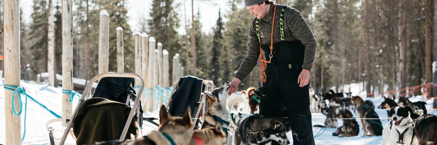 Rekikoiraopas, Lapland Husky Safaris Luosto