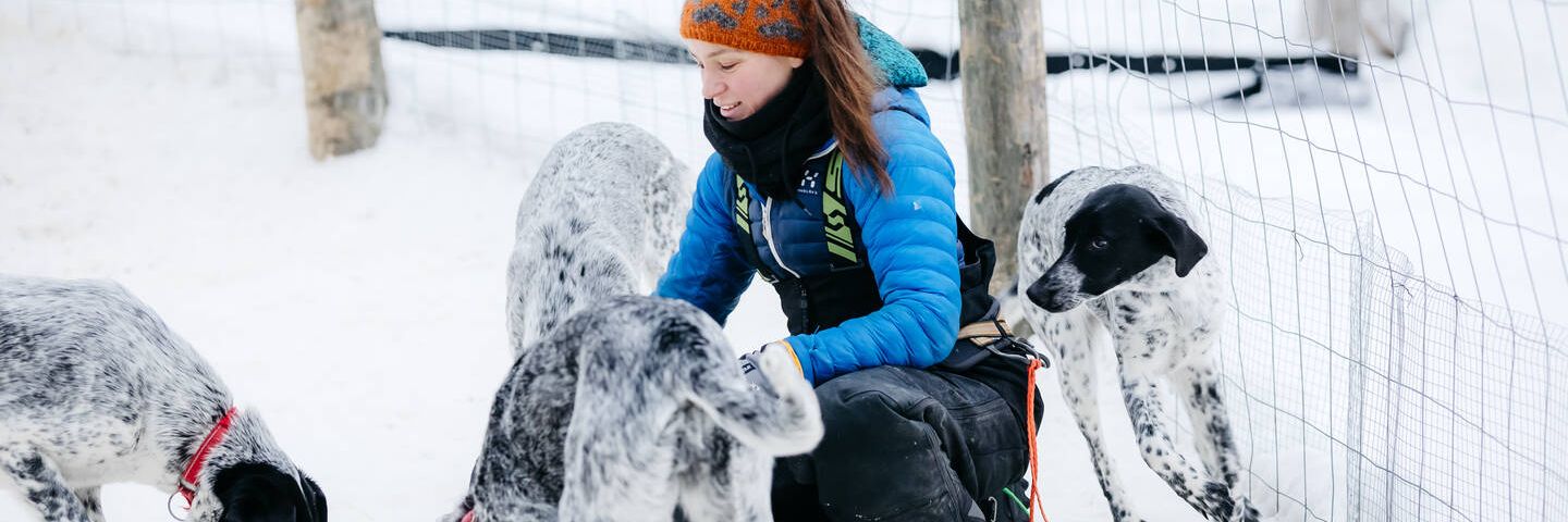 Rekikoiraopas, Lapland Husky Safaris Saariselkä