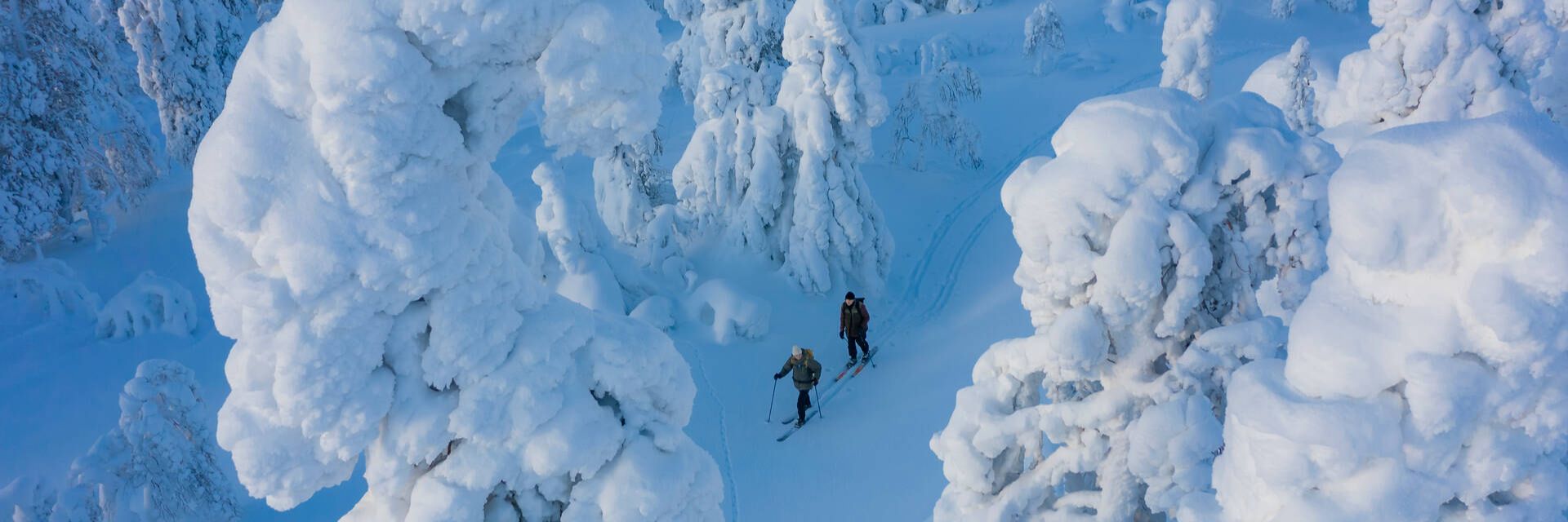 Tuotannon esihenkilö, Lapland Safaris Rovaniemi