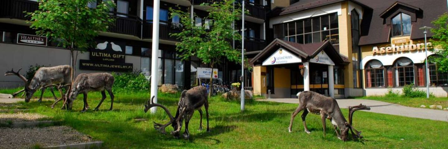 Vastaanottovirkailija yötyöhön, Lapland Hotels Riekonlinna, Saariselkä