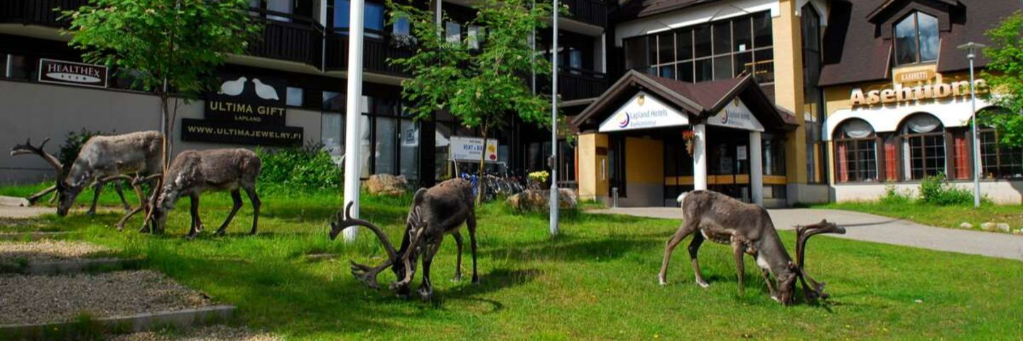Vastaanottovirkailija, Lapland Hotels Riekonlinna, Saariselkä