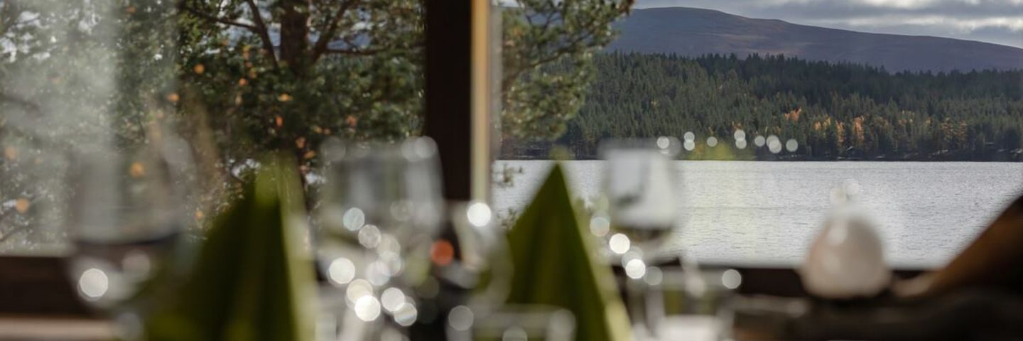 Tarjoilija, talvi, Lapland Hotels Hetta