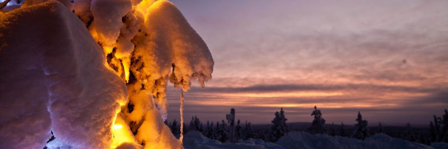 Tarjoilija, Romanssikahvio, Lapland Hotels Pallas 