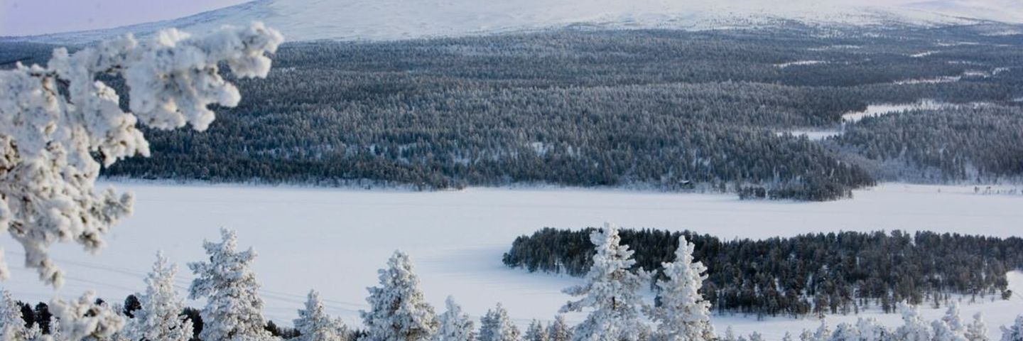 Aamiaiskokki, talvi, Lapland Hotels Hetta