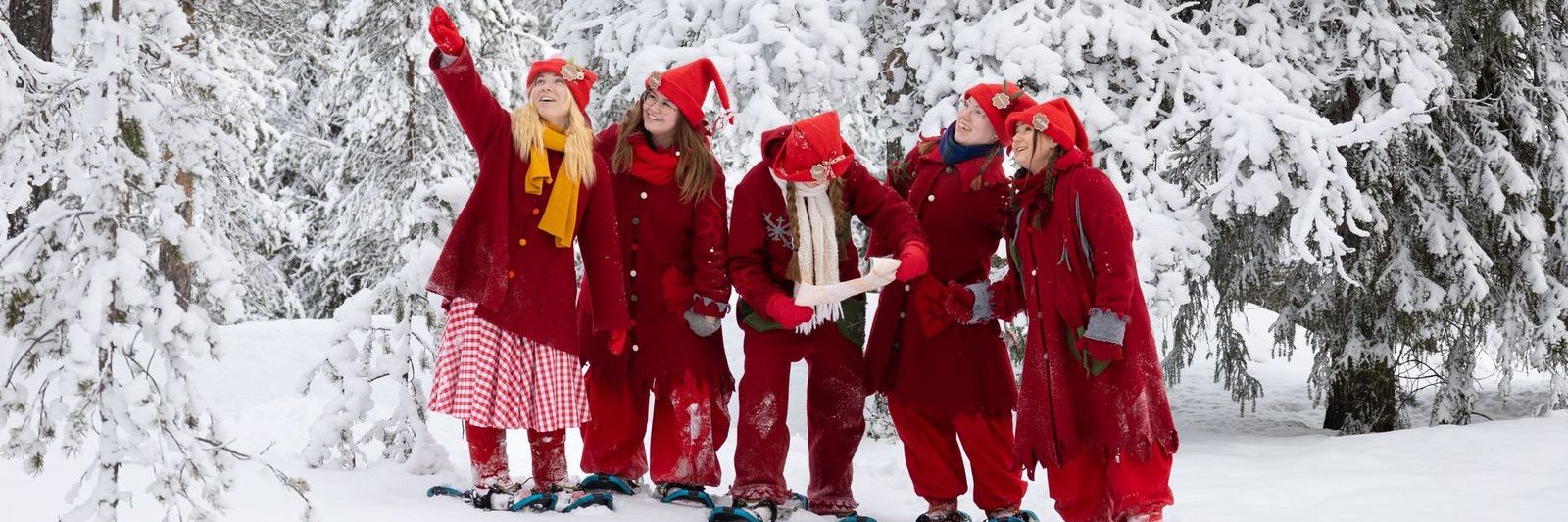 Safari Elf, Santa Claus Safaris, Rovaniemi
