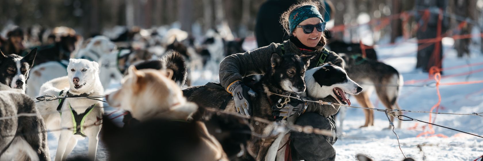Rekikoiraopas, Lapland Husky Safaris Levi-Ylläs
