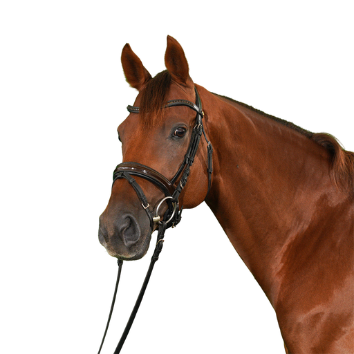 〈FEILER〉 UNITED ARROWS 別注 SPRINT HORSE ARROWS別注】＜FEILER＞SPRINT HORSE