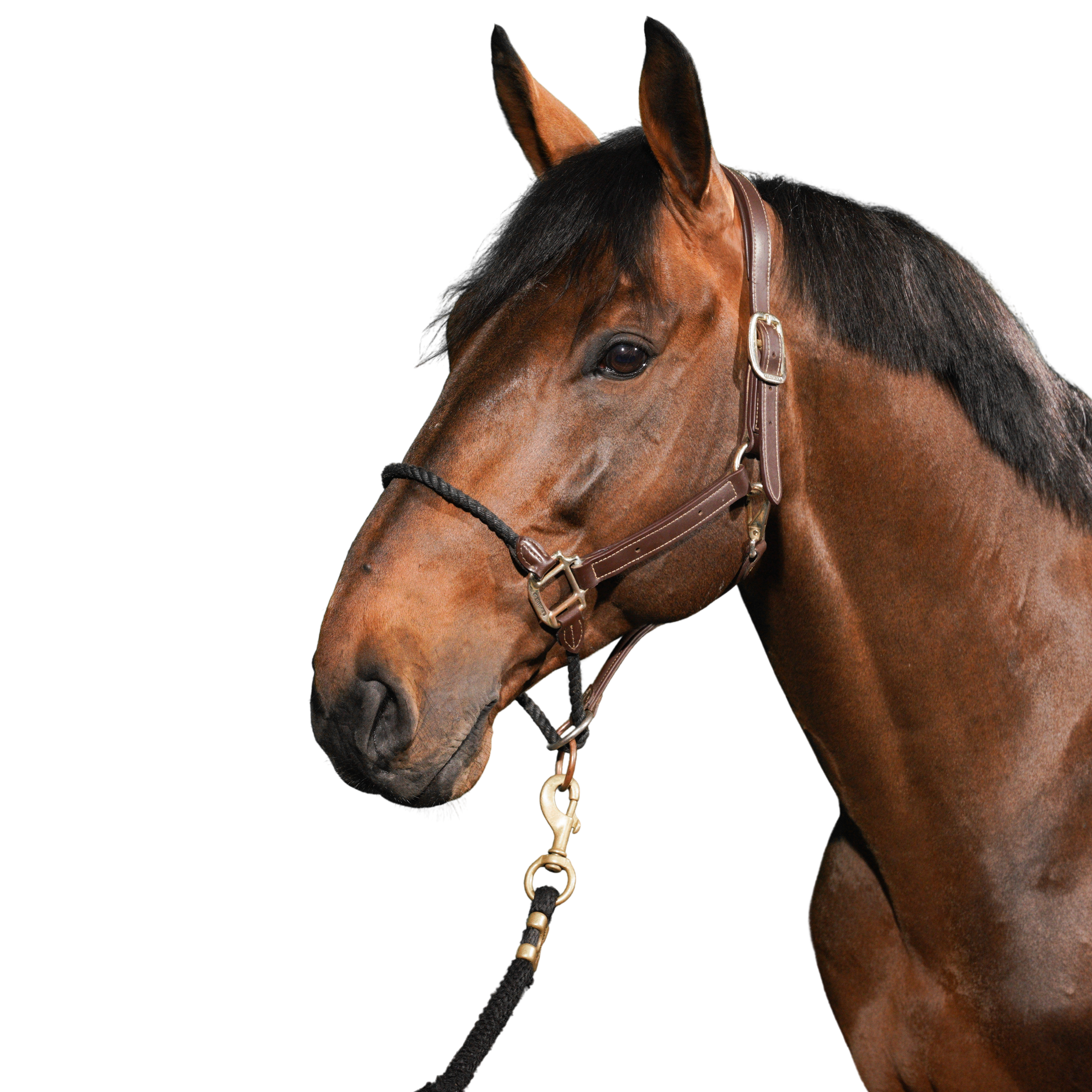 つる927ページ DexterDrogon DEXTER 92 in. Round Tube Straight Trailer Axle (7000 lb.) #4766714