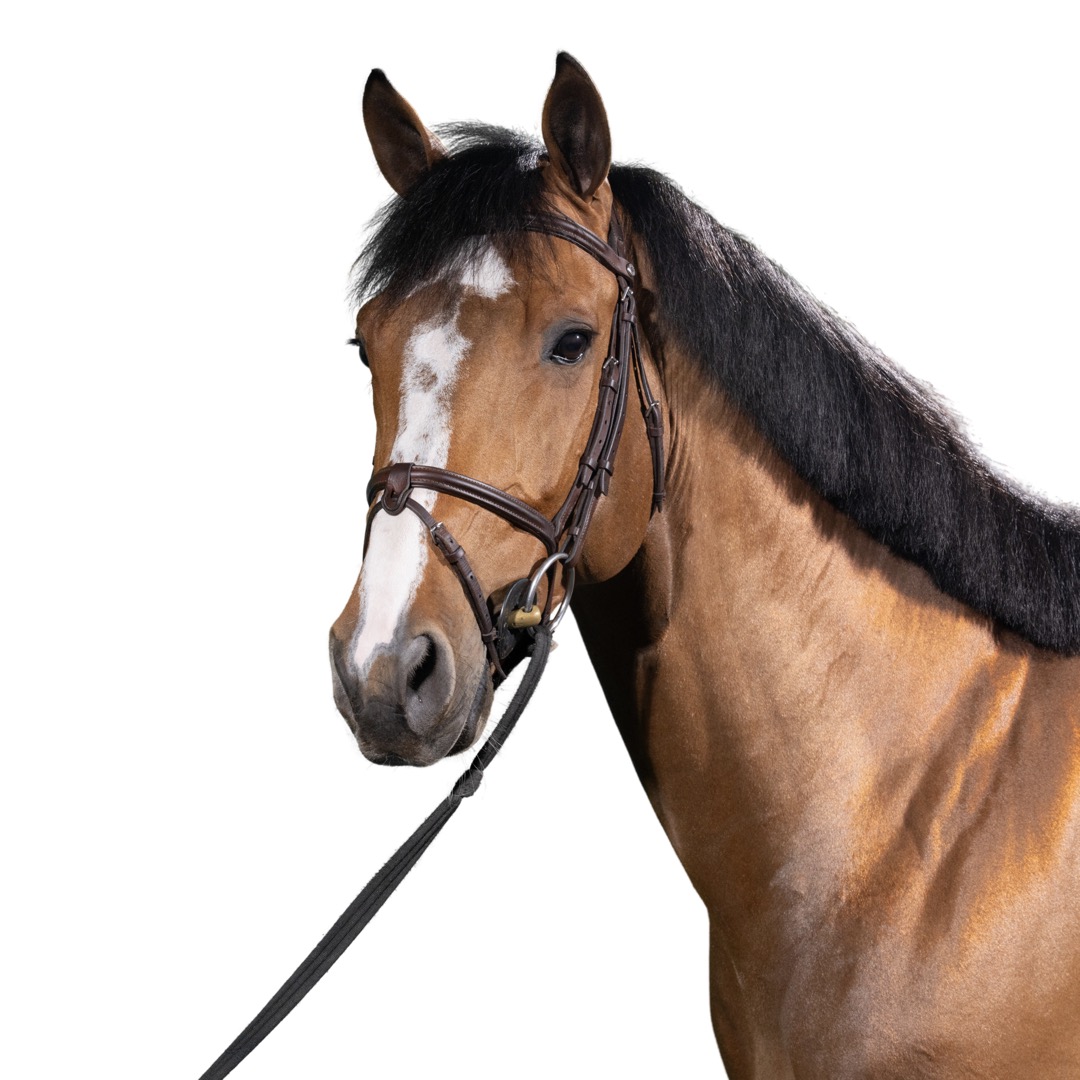 〈FEILER〉 UNITED ARROWS 別注 SPRINT HORSE FEILER〉 UNITED ARROWS 別注 SPRINT HORSE Auction Focus: Hip