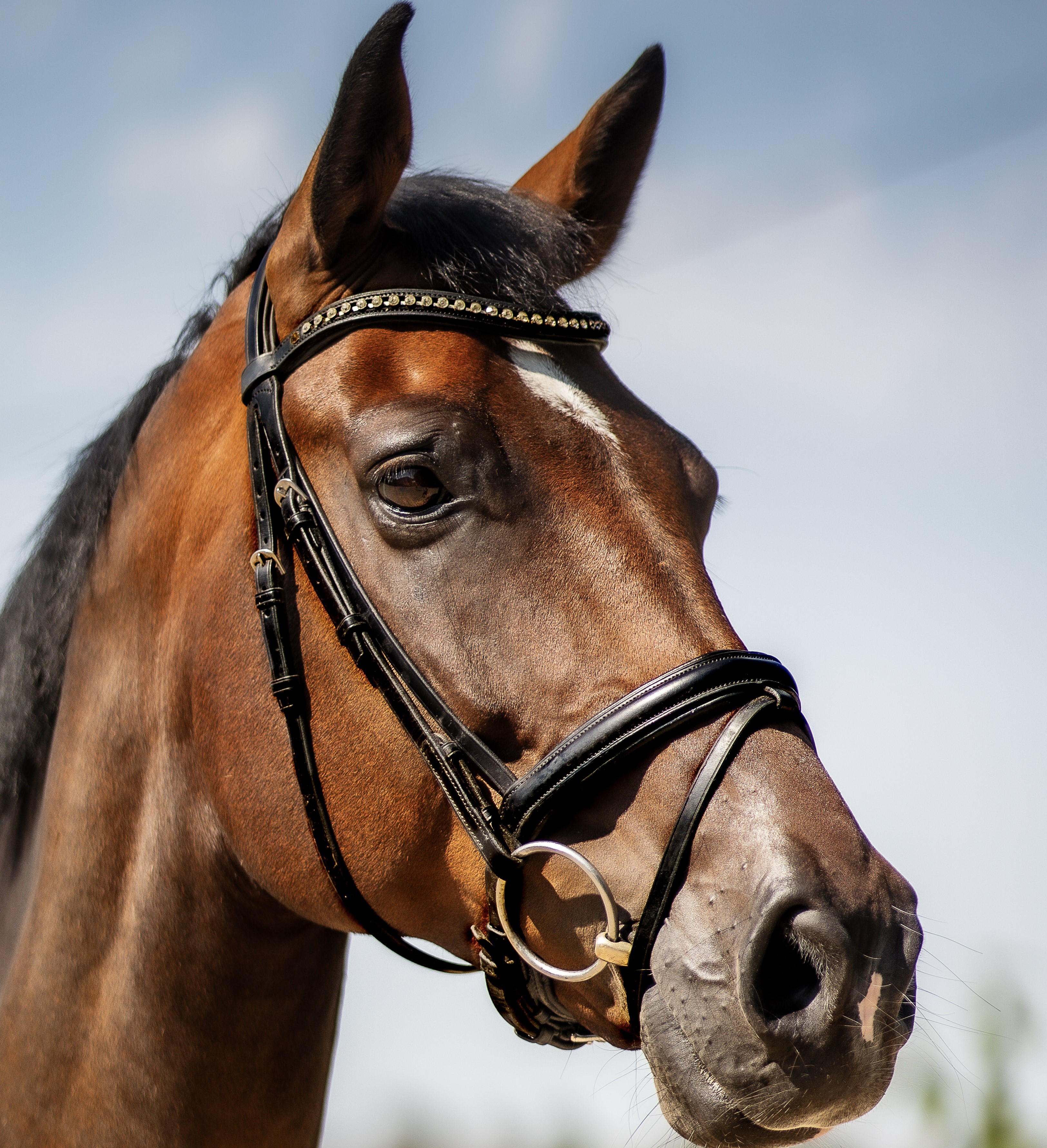 Hickstead (107TG86) | FEI.org