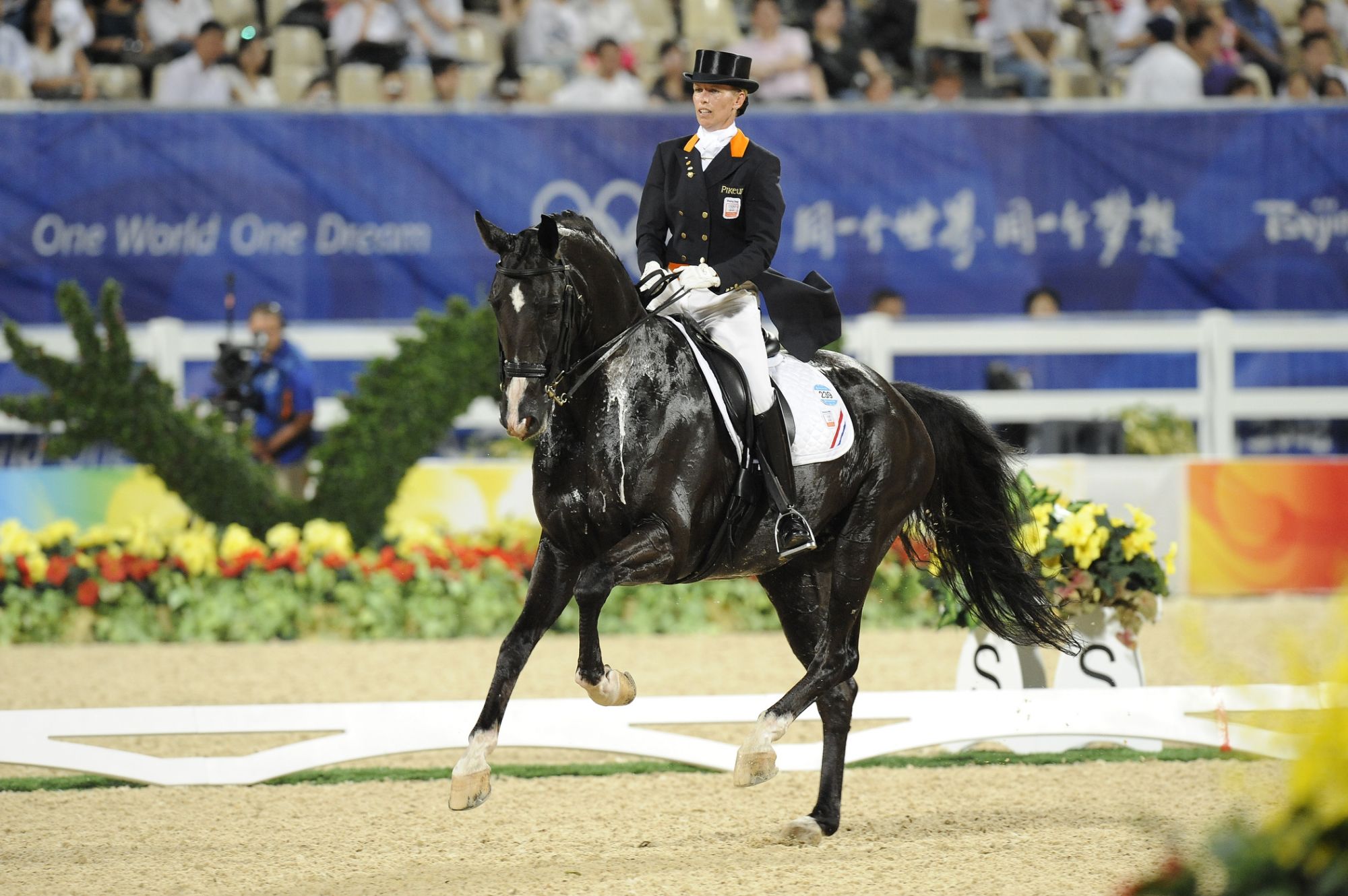 スポーツ・フィットネス Enjoying Dressage スポーツ・フィットネス Enjoying Dressage Amazon.com: ZXFF