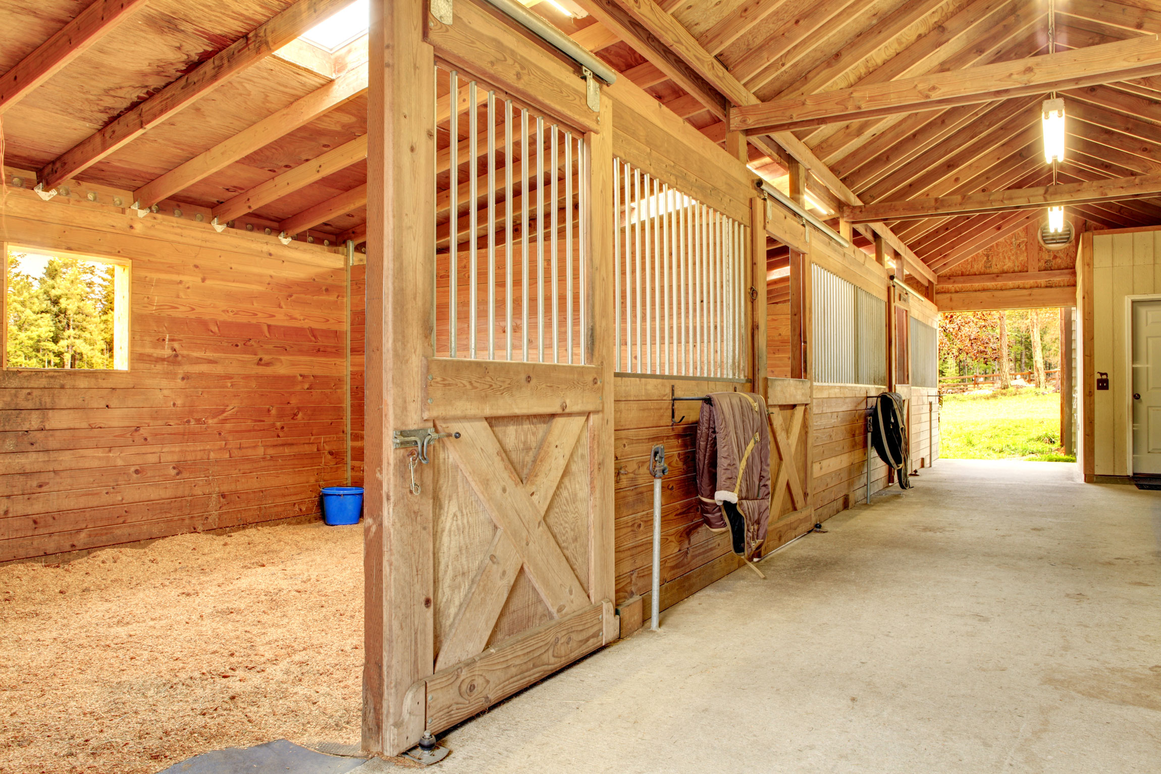 Pro Tips For Landscaping Your Perfect Equestrian Property