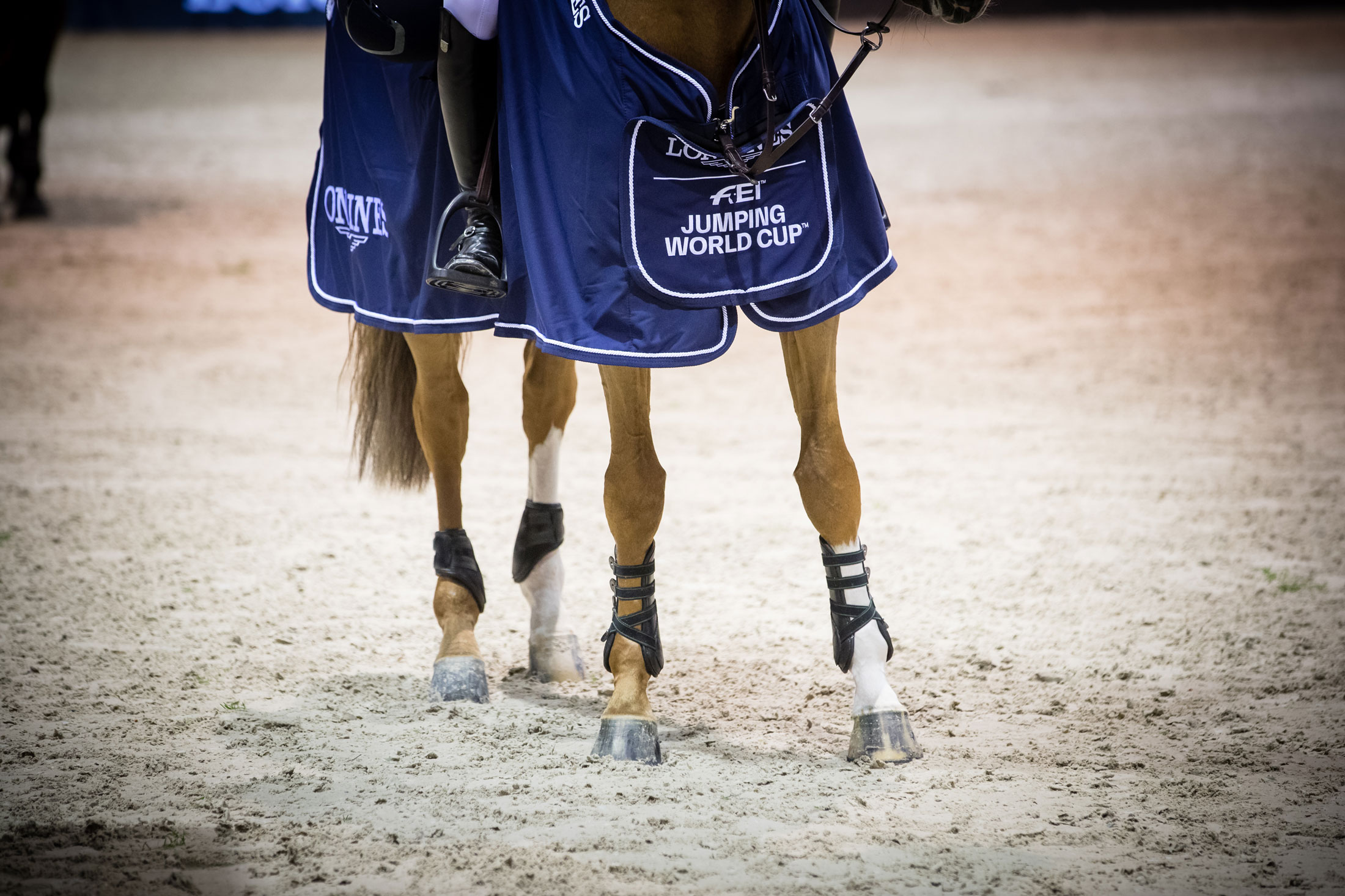 Horse of the Month: Tobago Z