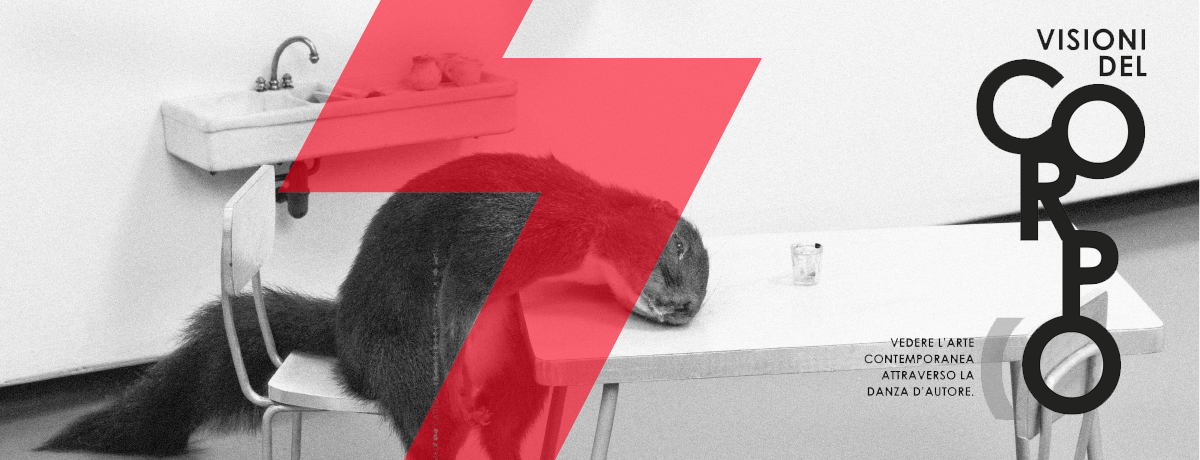 VISIONI DEL CORPO