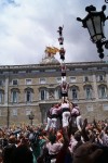 El pilar de 7 amb folre