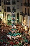 5 de 9 dels verds
