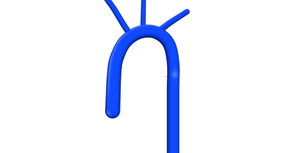Human Aortic Arch CAD Model