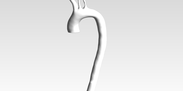 Human Aortic Arch CAD Model - Downloads: 0, Views: 109, Likes: 0