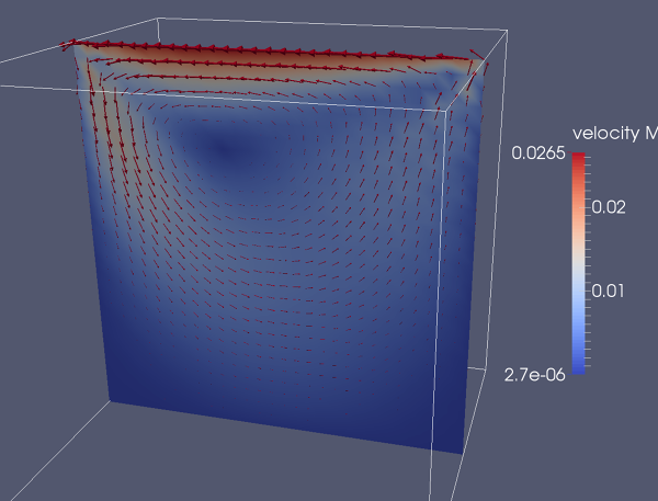 3D_lid-driven-cavity-midsection2-velocity.png