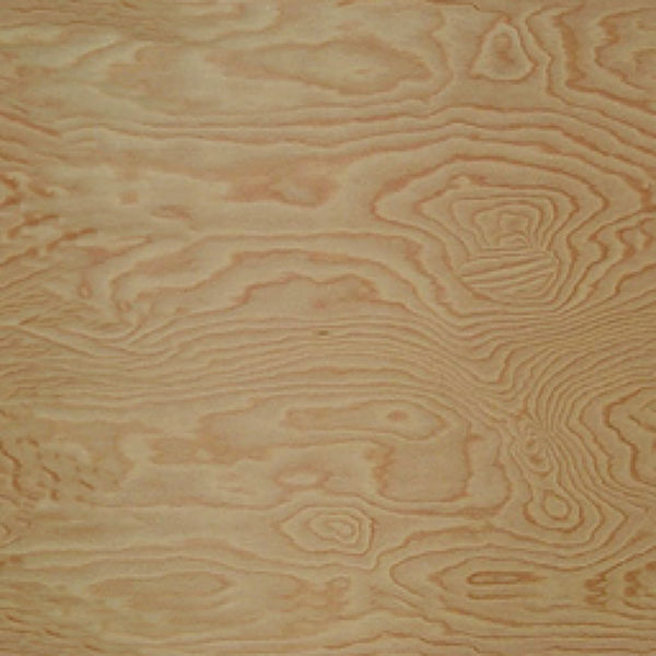 PLYWOO~2.JPG - High-quality image for the nevada project