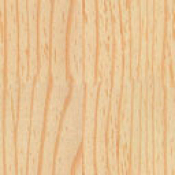 DOUGLA~1.JPG - High-quality image for the nevada project