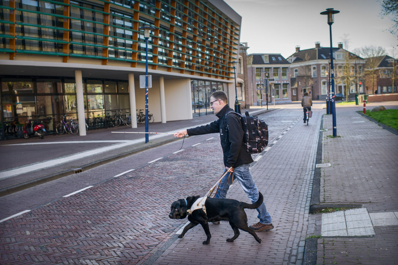 witte stok, oversteken, blindengeleidehond