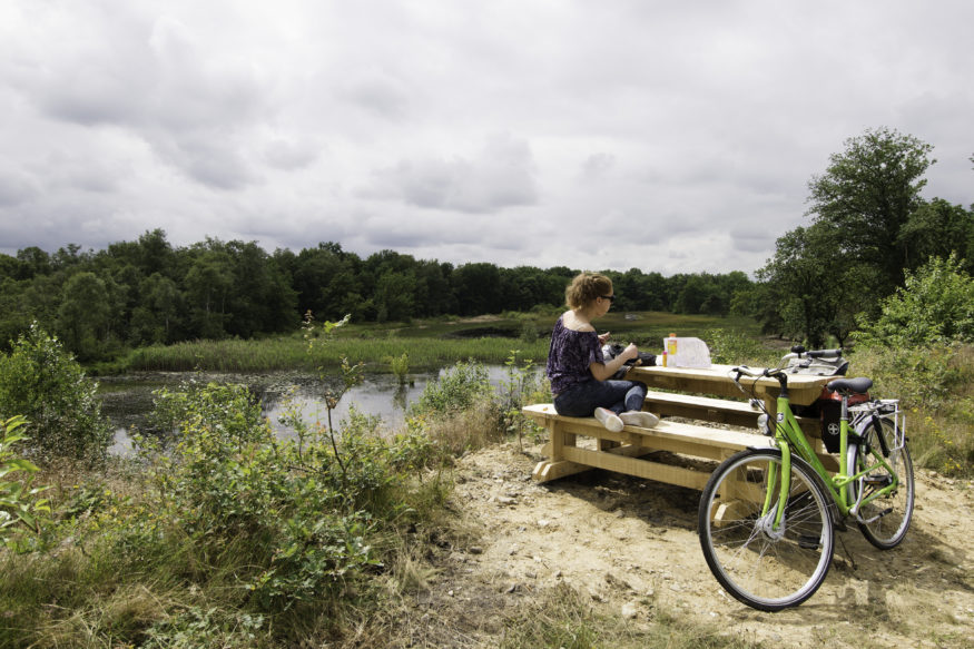 Bokrijk13_picknicktafel De Teut