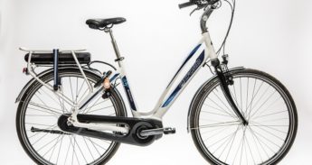 oxford_evolution_di21