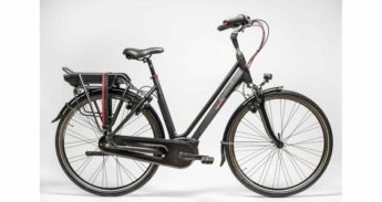 gazelle_vento16